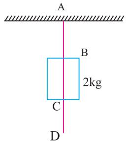 Two threads AB and CD: a 2 kg mass hangs from thread AB, with thread CD attached below it.