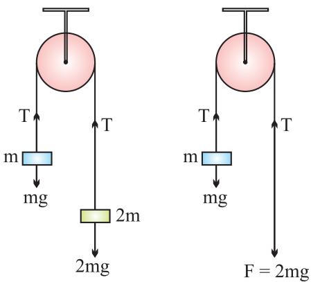 The two pulley arrangements (a) and (b) referred to in the question.