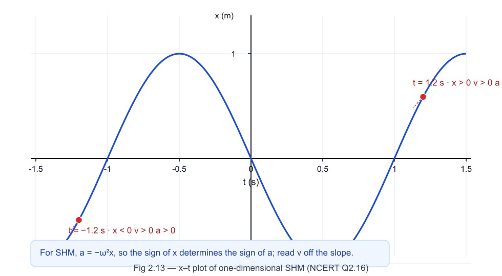 Fig 2.13 — x–t plot of simple harmonic motion with t = 0.3 s, 1.2 s and −1.2 s marked, showing the signs of x, v and a (NCERT Q2.16).
